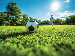 神户胜利船直播平台用户体验反馈