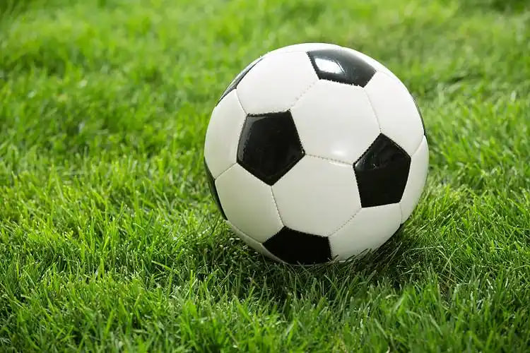 神户胜利船比赛直播专业功能展示